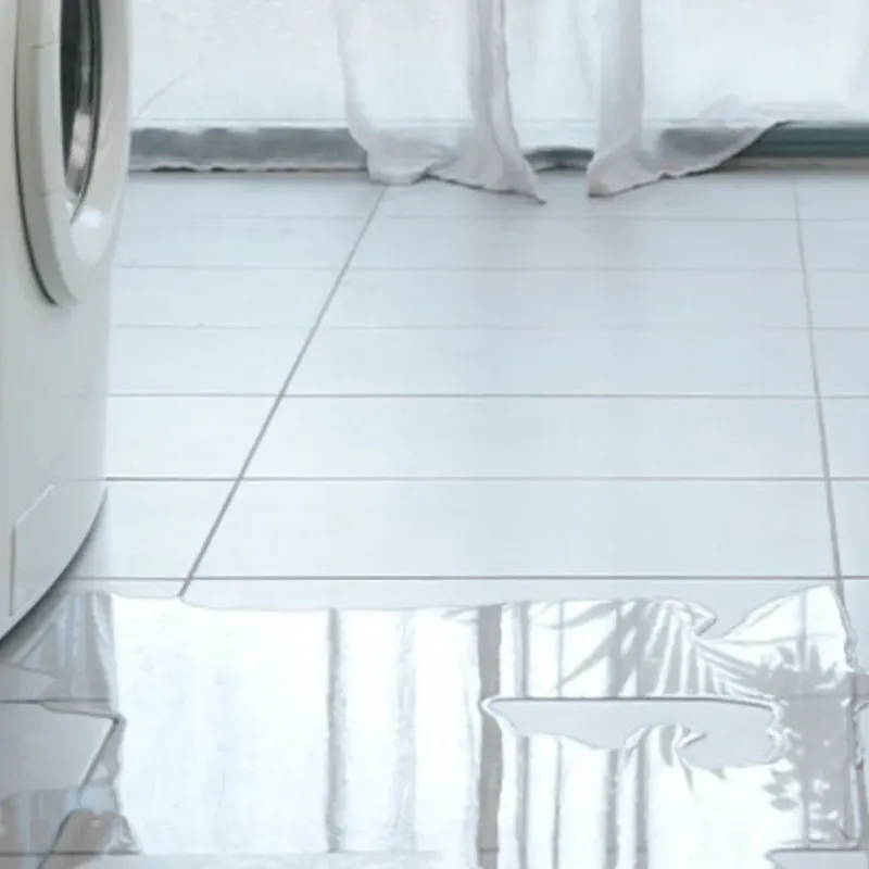 Appliance Leak Cleanup in Dayton, WA
