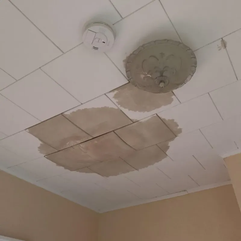 Ceiling Water Damage Repair in Dayton, WA