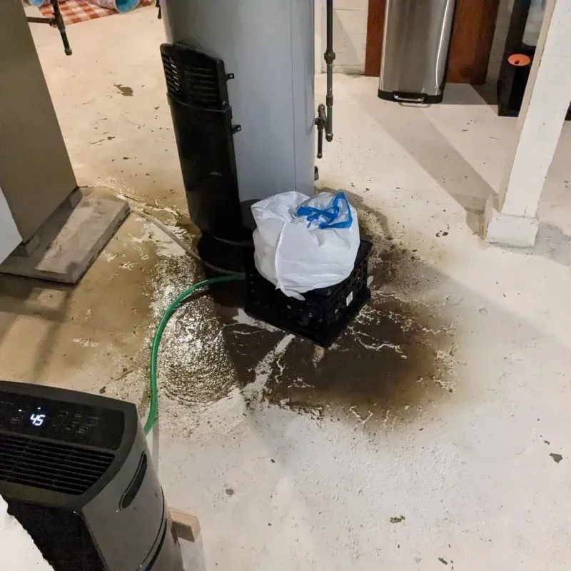 Sewage Backup Cleanup Service in Dayton, WA